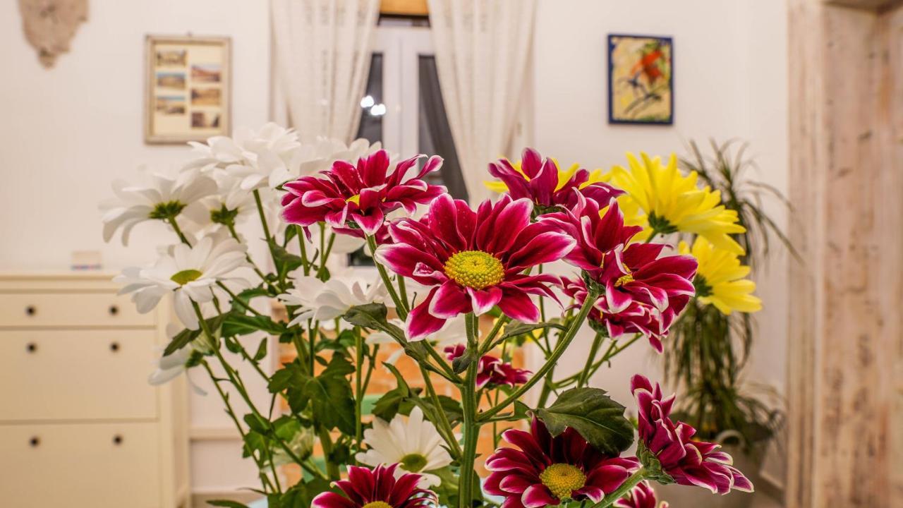 Cote Ensoleille Daire Pula Dış mekan fotoğraf